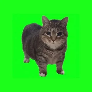 Placeholder
